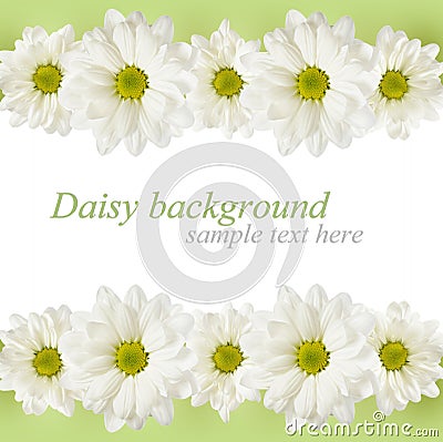 Background with daisy flowers lines