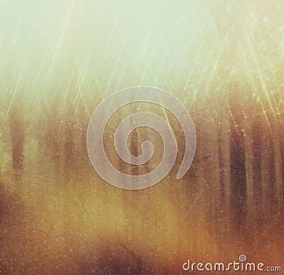 Background image of light burst among trees. image is retro filtered instagram style.