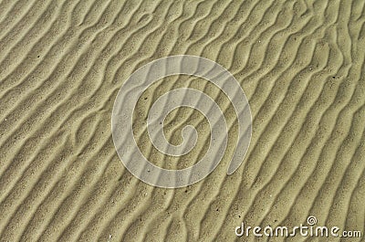 Background sand ripples under water