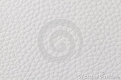 Background with texture of white leather