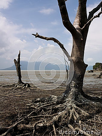 Bako National Park, Malaysia