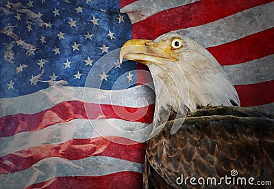 Bald Eagle and American Flag