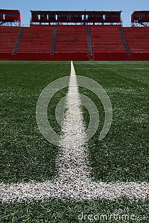 Ballfield turf in stadium