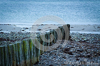 Baltic sea background evening wooden wave breaker beach