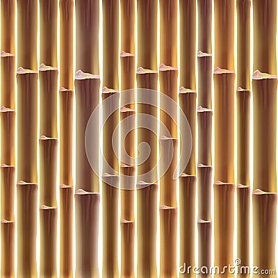 Bamboo fence background