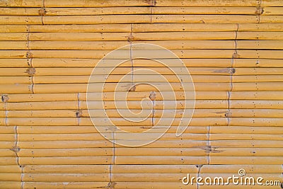 Bamboo Wall Background Texture