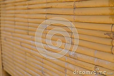 Bamboo Wall Background Texture