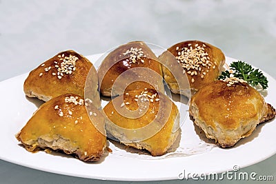 Barbecue Pork Pastry Dim Sum