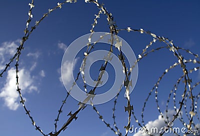 Barbed wire