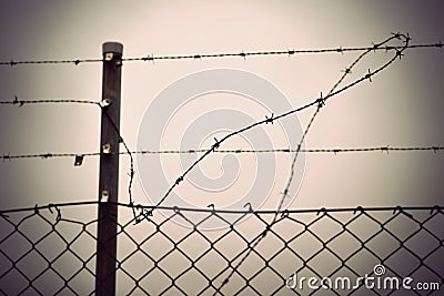 Barbed wire and chain link fence