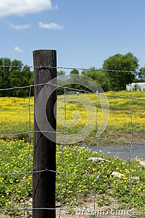 Barbed Wire Fence And Post
