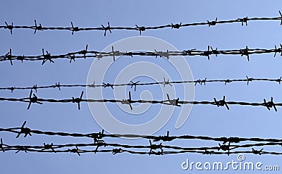 Barbed wire silhouette