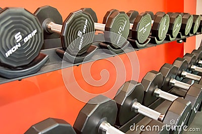 Barbells gym equipment