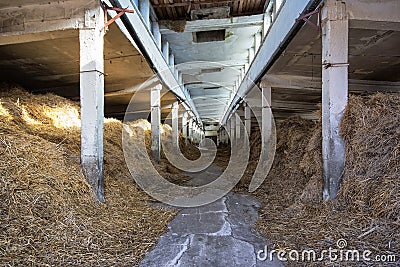 Barn with straw