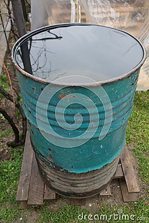 Barrel filled with rain water