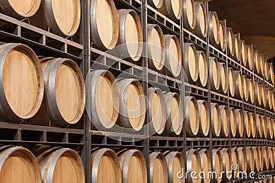 Barrels of wine in cellar