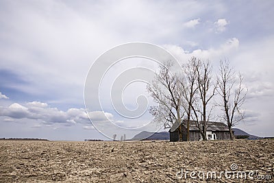 Barren field and barn