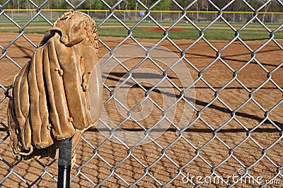 Baseball Bat and Glove