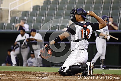 Baseball Catcher Throwing Ball