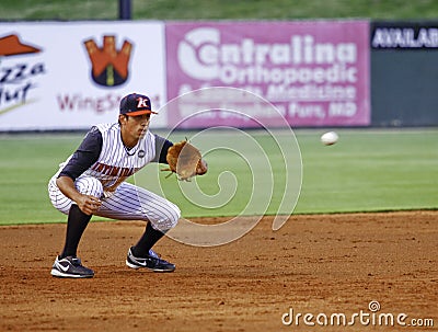 Baseball Fielder Catching a Baseball