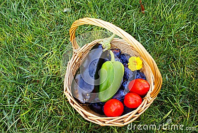 Basket with organic vegetables and fruits