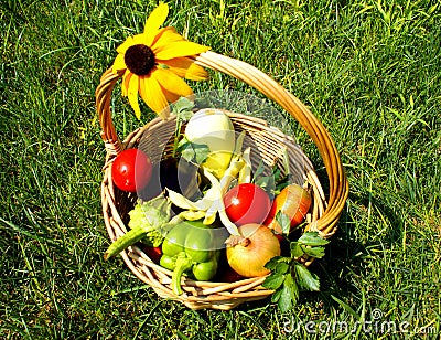 Basket with vegetables