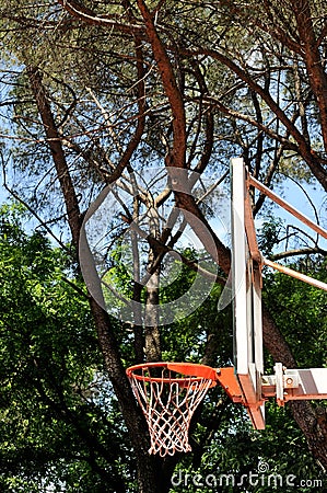 Basketball dunk