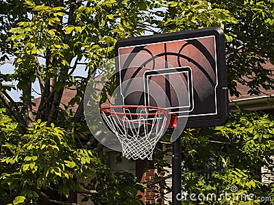 Basketball dunk