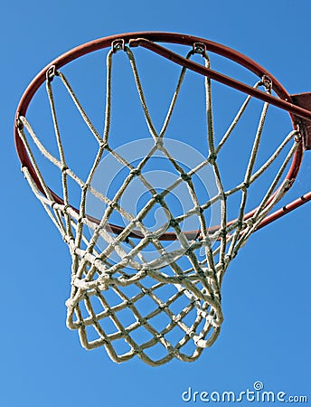 Basketball Net