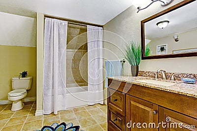 Bathroom interior with brown vanity cabinet