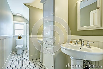 Bathroom interior with siding wall trim