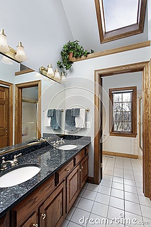 Bathroom with skylight