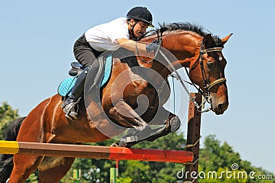 Bay horse and rider over a jump