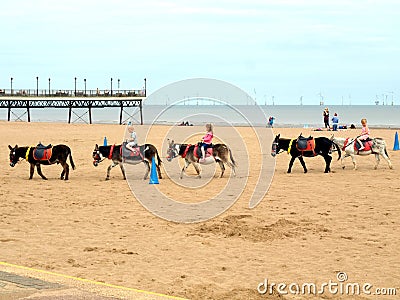 Beach Donkey Rides, Skegness.