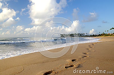 Beach Footprints