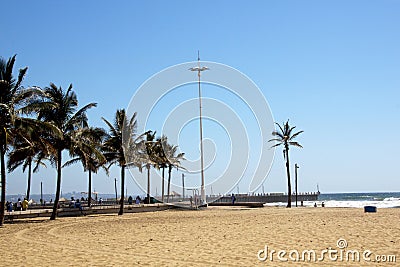 Beach and Palm trees in Durban South Africa
