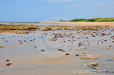 Beach of Pititinga, Natal (Brazil)