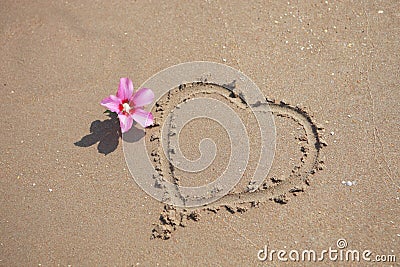 Beach sand with pink flower and Heart Shape