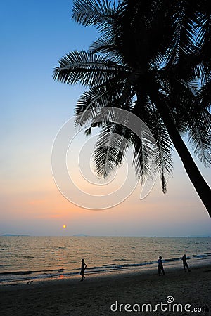 Beach at sunset with palm trees