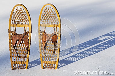 Bear Paw snowshoes