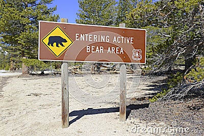 Bear sign in the recreation area