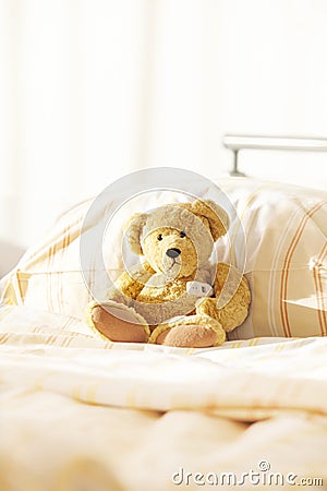 Bear Teddy hospital bed