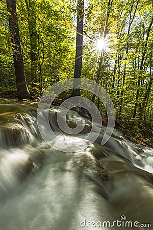Beautiful autumn foliage and mountain stream in the forest