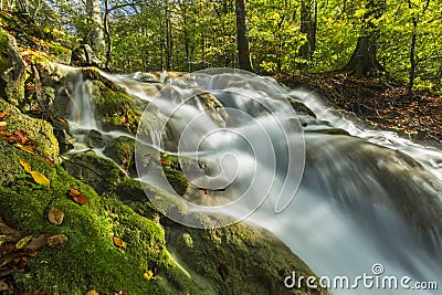 Beautiful autumn foliage and mountain stream in the forest