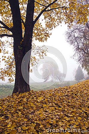 Beautiful autumn landscape with leaves and morning fog