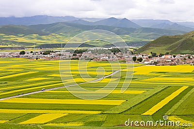 Beautiful Chinese rural scenery