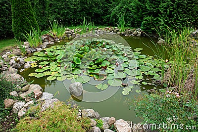 Beautiful classical garden fish pond gardening