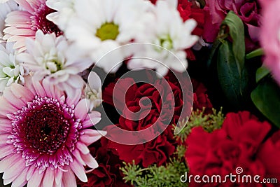 Beautiful colorful collection of flowers spring summer celebration