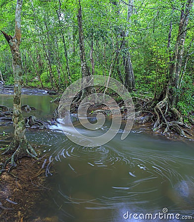 Beautiful Deep forest waterfall call Pangsida waterfall