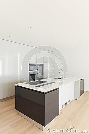 Beautiful empty apartment, modern kitchen